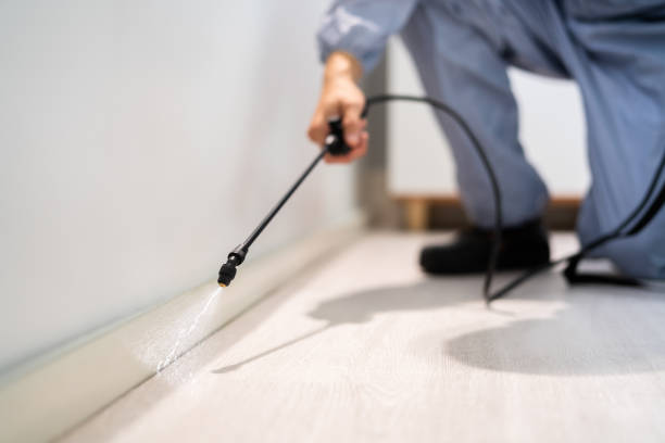 Licensed Bed Bug Control service in Choctaw, OK - Nex Pest Control