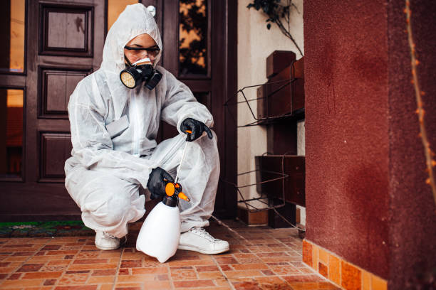 Reliable Bed Bug Control contractor in Choctaw, OK by Nex Pest Control