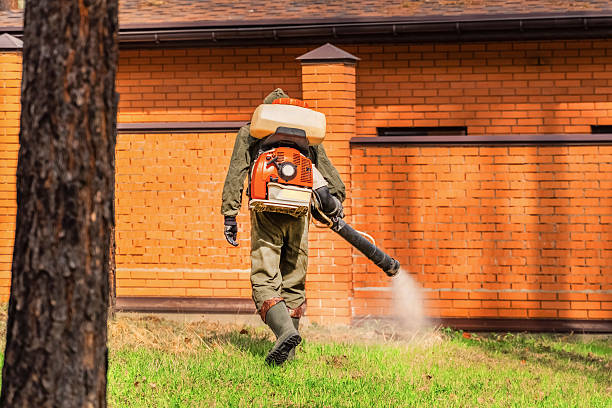 Top rated local Bed Bug Control specialists in Choctaw, OK